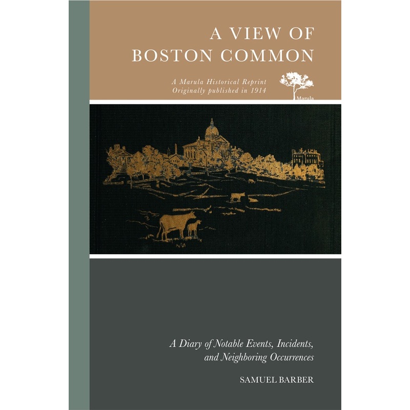 A View of Boston Common
