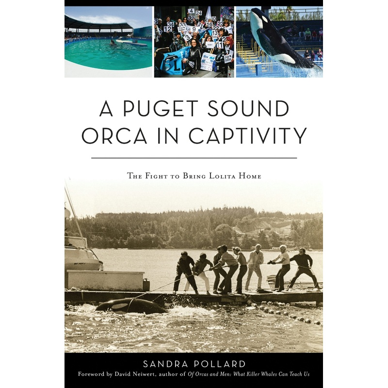 A Puget Sound Orca in Captivity