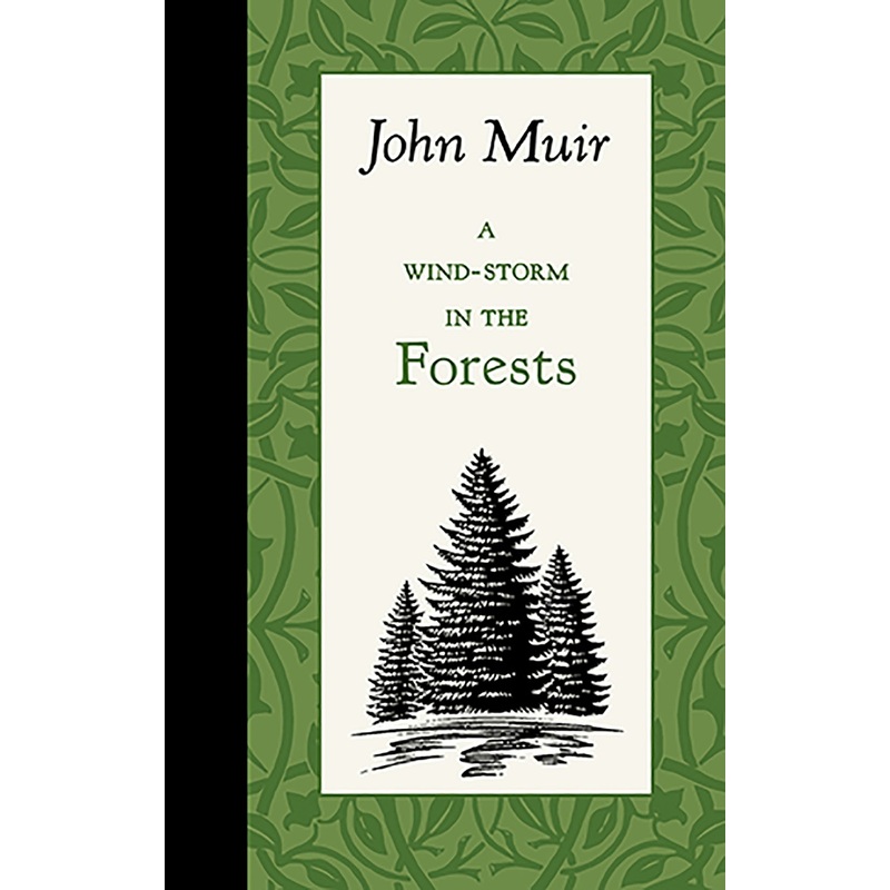 A Wind-Storm in the Forests