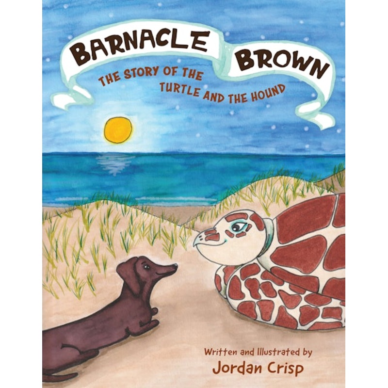 Barnacle Brown