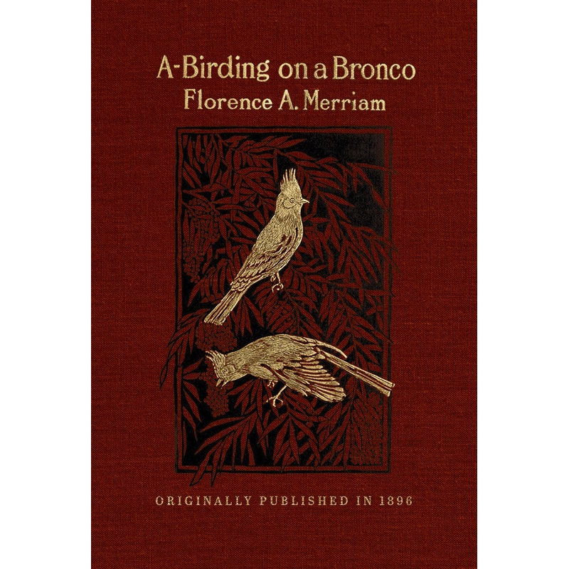 A-Birding on a Bronco